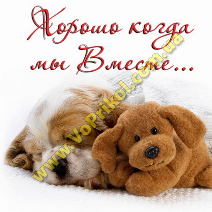 Магнит - Вместе...