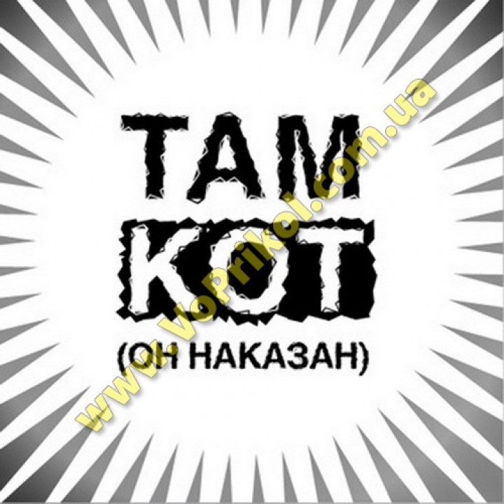 Магнит - Кот наказан