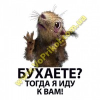 Магнит - Ацкая белка