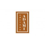 Adriano Adami