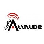 Attitude